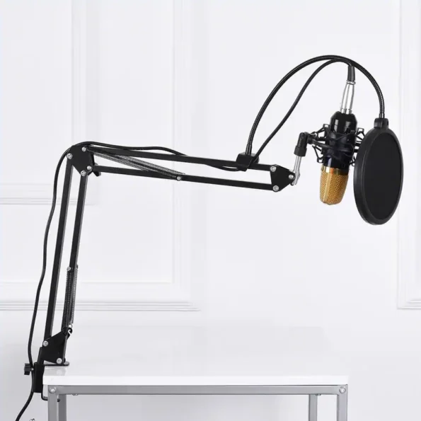 BanCo BM800 Microphone Stand